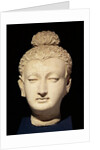 Head of a Buddha, Greco-Buddhist style, from Hadda by Afghan School