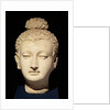 Head of a Buddha, Greco-Buddhist style, from Hadda by Afghan School