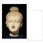 Head of a Buddha, Greco-Buddhist style, from Hadda by Afghan School