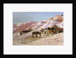 Bedouin Camp in the Dunes by Eugene Alexis Girardet