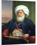 Mehemet Ali, 1840 by Louis Charles Auguste Couder