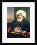 Mehemet Ali, 1840 by Louis Charles Auguste Couder