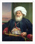 Mehemet Ali, 1840 by Louis Charles Auguste Couder
