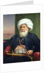 Mehemet Ali, 1840 by Louis Charles Auguste Couder