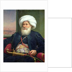 Mehemet Ali, 1840 by Louis Charles Auguste Couder