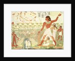 Hunting and Fishing by Egyptian 18th Dynasty