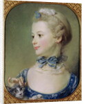 Young Girl with a Cat by Jean-Baptiste Perronneau