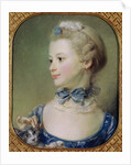 Young Girl with a Cat by Jean-Baptiste Perronneau
