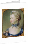 Young Girl with a Cat by Jean-Baptiste Perronneau