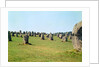 Alignment of standing stones, Megalithic Period, 4th-3rd millennium BC by Anonymous