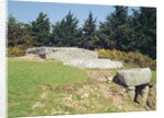 Dolmen, Dol-ar-March'hadourien Megalithic by Prehistoric Prehistoric