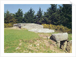 Dolmen, Dol-ar-March'hadourien Megalithic by Prehistoric Prehistoric