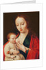 The Virgin Breastfeeding the Infant Christ by Joos van Cleve