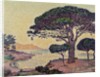 Umbrella Pines at Caroubiers, 1898 by Paul Signac