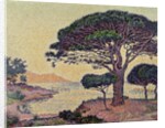 Umbrella Pines at Caroubiers, 1898 by Paul Signac