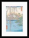 The Bridge with Wisteria or Kameido Tenjin Keidai by Ando or Utagawa Hiroshige