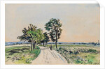 The Cote St. Andre to Grand Lemps Road, 1880 by Johan-Barthold Jongkind