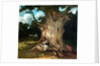 The Large Oak, 19th century by Gustave Courbet