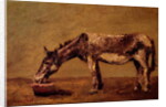 The Donkey by Gustave Courbet