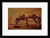 The Donkey by Gustave Courbet
