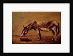 The Donkey by Gustave Courbet