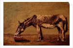 The Donkey by Gustave Courbet