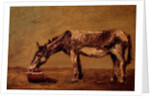 The Donkey by Gustave Courbet