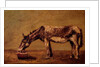 The Donkey by Gustave Courbet