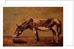 The Donkey by Gustave Courbet