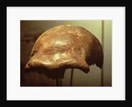 Cranium of a Neanderthal by Prehistoric Prehistoric