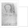 Louise de Savoie by Jean Clouet