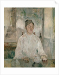 Adele Tapie de Celeyran Countess of Toulouse-Lautrec-Monfa, 1881 by Henri de Toulouse-Lautrec