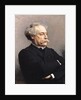 Alexandre Dumas Fils 1886 by Leon Joseph Florentin Bonnat