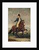 Equestrian Portrait of Ferdinand VII King of Spain by Francisco Jose de Goya y Lucientes