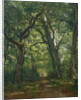 Path in the Forest, 1864 by Henri Joseph Constant Dutilleux