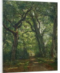 Path in the Forest, 1864 by Henri Joseph Constant Dutilleux