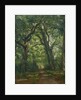 Path in the Forest, 1864 by Henri Joseph Constant Dutilleux