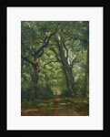 Path in the Forest, 1864 by Henri Joseph Constant Dutilleux