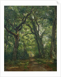 Path in the Forest, 1864 by Henri Joseph Constant Dutilleux