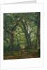Path in the Forest, 1864 by Henri Joseph Constant Dutilleux
