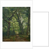 Path in the Forest, 1864 by Henri Joseph Constant Dutilleux