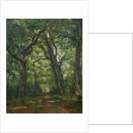 Path in the Forest, 1864 by Henri Joseph Constant Dutilleux