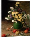 Flowers and Fruit, 1880 by Claude Emile Schuffenecker