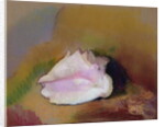 The Shell, 1912 by Odilon Redon