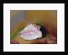 The Shell, 1912 by Odilon Redon
