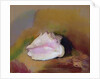The Shell, 1912 by Odilon Redon