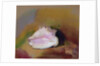 The Shell, 1912 by Odilon Redon