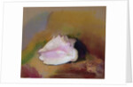 The Shell, 1912 by Odilon Redon