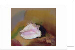 The Shell, 1912 by Odilon Redon