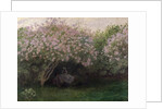 Lilacs, Grey Weather, 1872 by Claude Monet